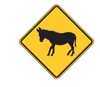 W11-19