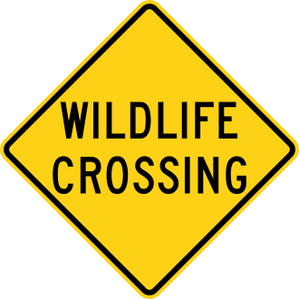 W11-23(CA)
