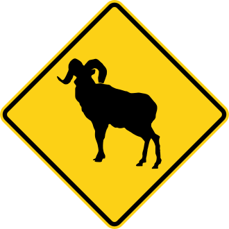 W11-18