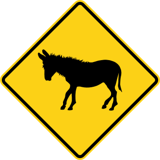 W11-19