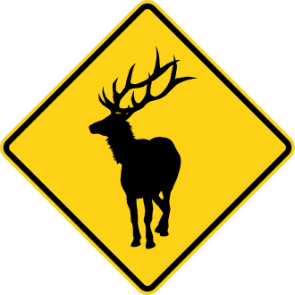 W11-20
