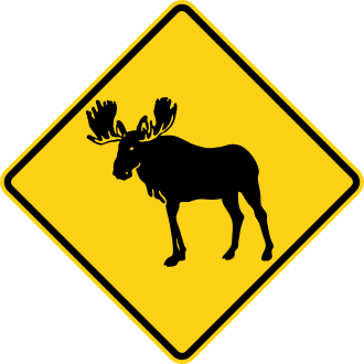 W11-21