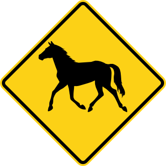 W11-22