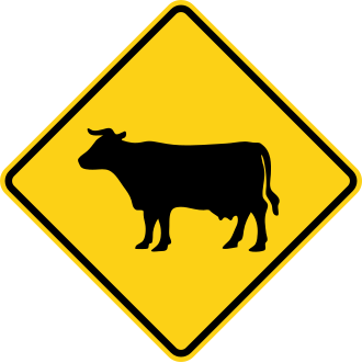W11-4